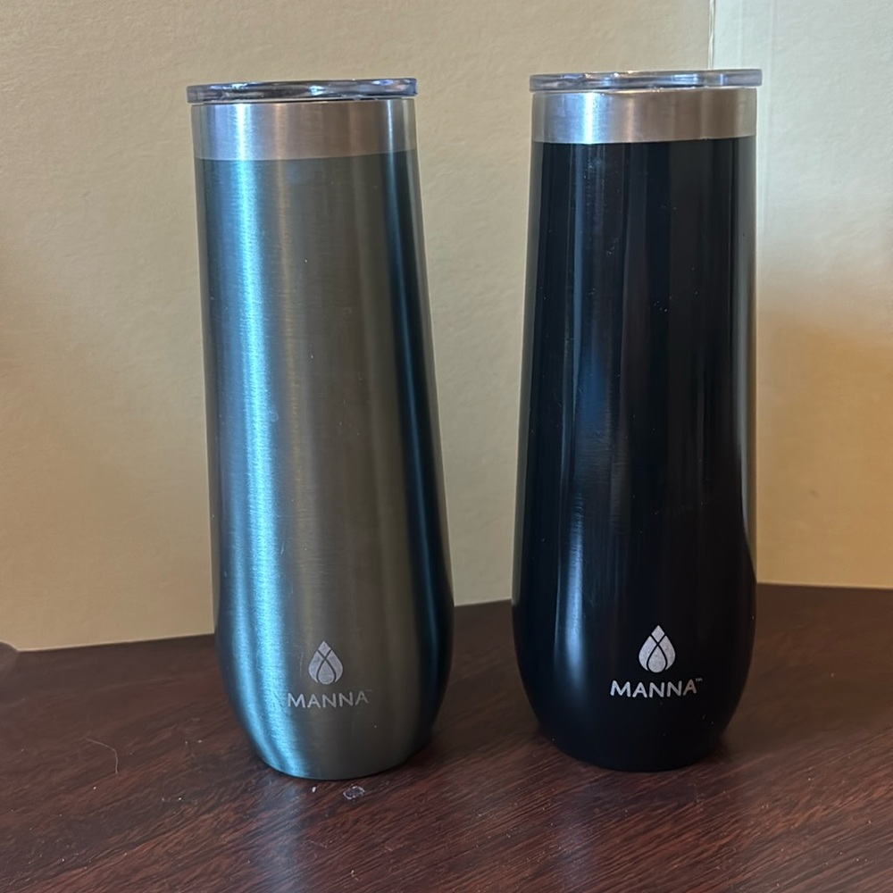 Insulated Wine Flutes